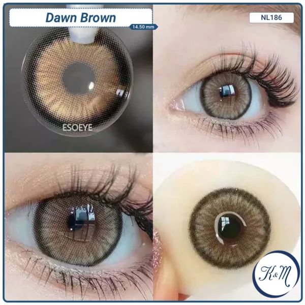 Lens FreshLady Dawn Brown (NL186) - Image 2