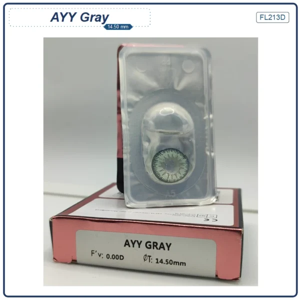 Lente AYY Gray (FL213D) - Image 2